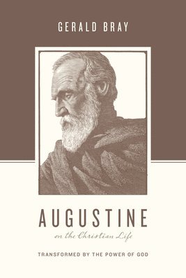 bokomslag Augustine on the Christian Life