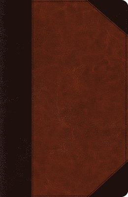 ESV Reference Bible 1