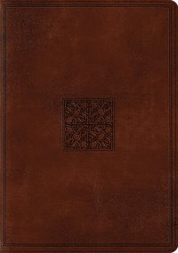 bokomslag ESV Study Bible