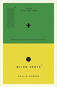 bokomslag Blind Spots