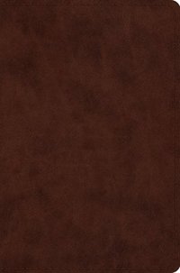 bokomslag ESV Compact Bible (Trutone, Brown)