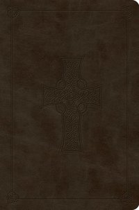bokomslag ESV Value Compact Bible