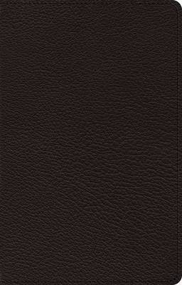 ESV Omega Thinline Reference Bible 1