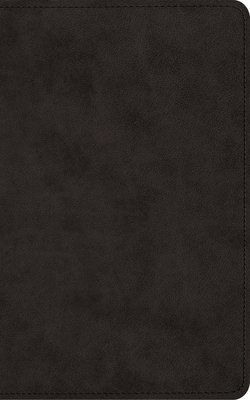 ESV Vest Pocket New Testament with Psalms and Proverbs, Red Letter