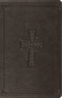 bokomslag ESV Value Thinline Bible