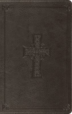 bokomslag ESV Value Thinline Bible