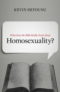 bokomslag What Does the Bible Really Teach about Homosexuality?