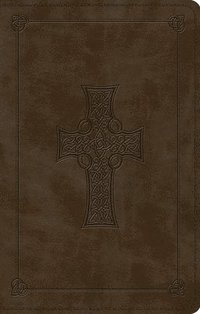 bokomslag ESV Large Print Value Thinline Bible