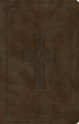 ESV Large Print Value Thinline Bible