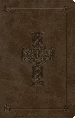 ESV Large Print Value Thinline Bible 1