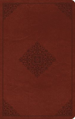 ESV Large Print Value Thinline Bible