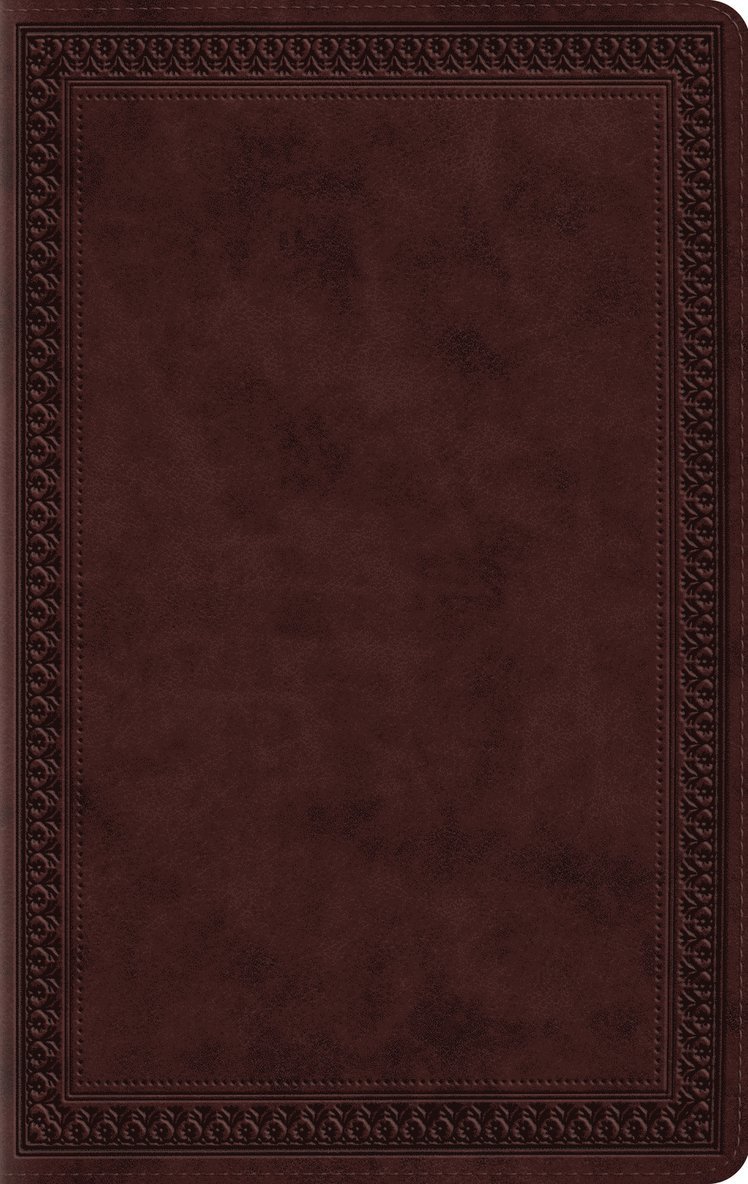 ESV Large Print Value Thinline Bible