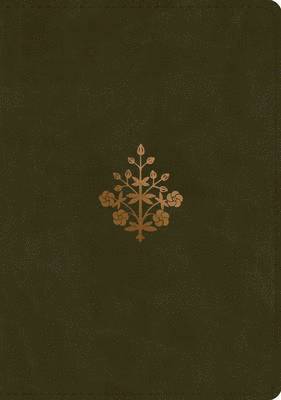 bokomslag ESV Study Bible