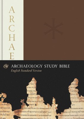 bokomslag ESV Archaeology Study Bible