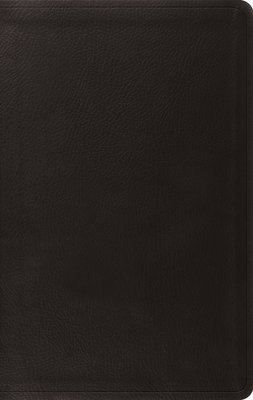 ESV Value Thinline Bible 1