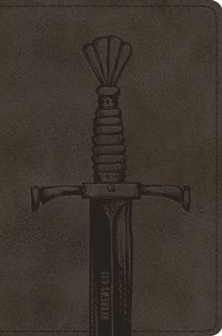 bokomslag Crossway Books: Holy Bible