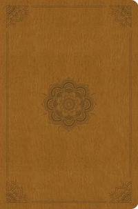 bokomslag ESV Compact Outreach Bible, Premium Edition