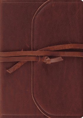 ESV Journaling Bible, Interleaved Edition 1