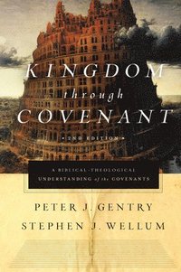 bokomslag Kingdom through Covenant