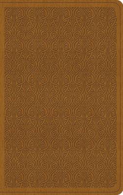 bokomslag ESV Value Thinline Bible