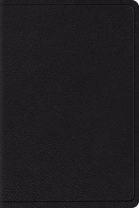 bokomslag ESV Reader's Bible