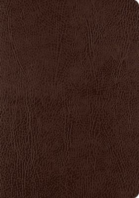 ESV Single Column Journaling Bible, Large Print 1