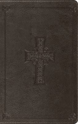 bokomslag ESV Large Print Thinline Bible