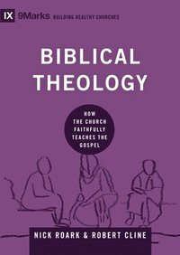 bokomslag Biblical Theology