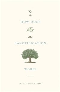 bokomslag How Does Sanctification Work?