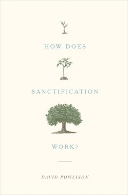 bokomslag How Does Sanctification Work?