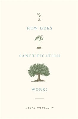 bokomslag How Does Sanctification Work?