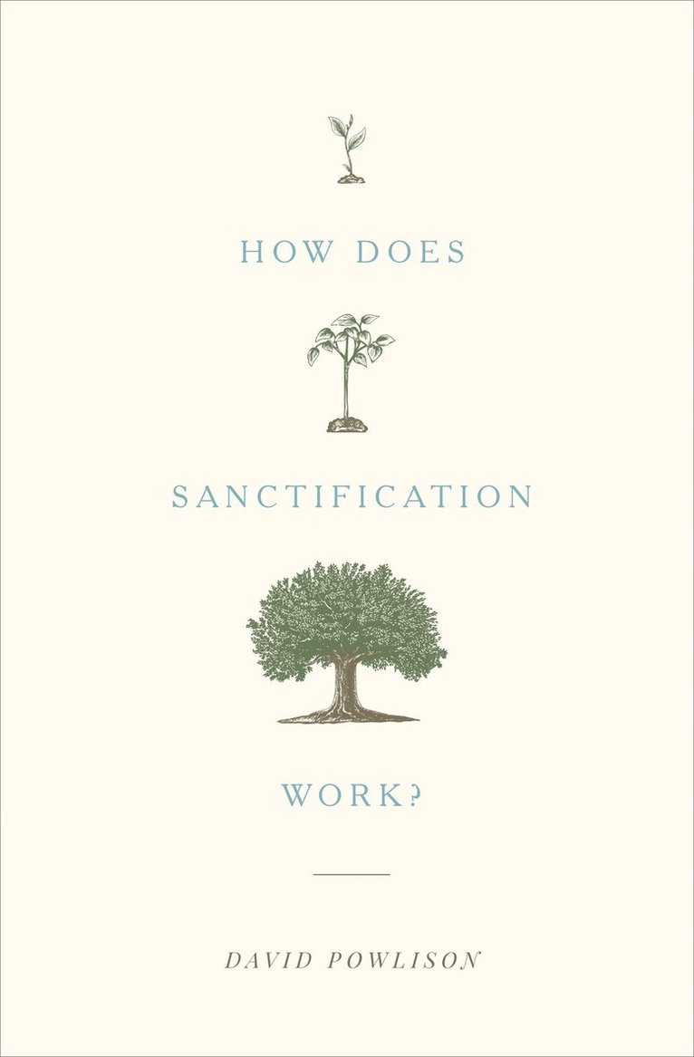 How Does Sanctification Work? 1