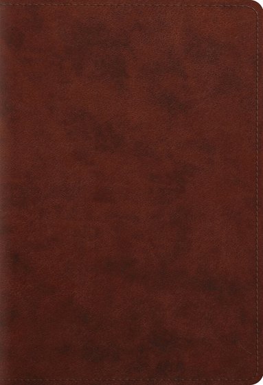 Esv Bibles, David Chapman, Lane T. Dennis, Wayne Grudem, Thomas R. Schreiner, Barry J. Beitzel, T. Ryan Buchanan, Bill Deckard, J. I. Packer, Leen Ritmeyer, C. John Collins, John D. Currid - ESV Student Study Bible, Inbunden