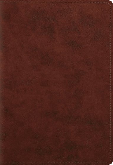 bokomslag ESV Student Study Bible