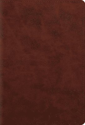 David Chapman, Lane T. Dennis, Wayne Grudem, Thomas R. Schreiner, Barry J. Beitzel, T. Ryan Buchanan, Bill Deckard, J. I. Packer, Leen Ritmeyer, C. John Collins, John D. Currid - ESV Student Study Bible, Inbunden
