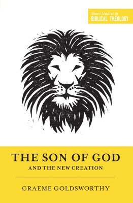 bokomslag Son of God and the New Creation