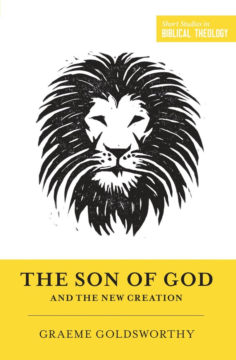 Graeme Goldsworthy, Dane Ortlund, Miles V van Pelt - Son of God and the New Creation, Häftad
