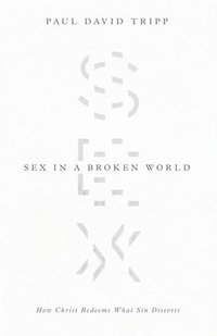 bokomslag Sex in a Broken World