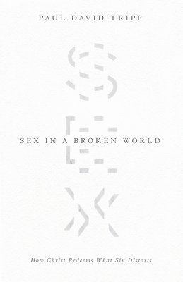 bokomslag Sex in a Broken World