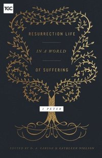 bokomslag Resurrection Life in a World of Suffering