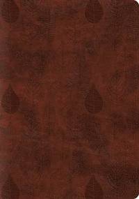 bokomslag ESV Single Column Journaling Bible, Large Print