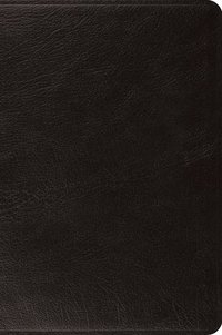 bokomslag ESV Large Print Bible