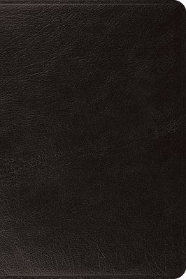 bokomslag ESV Large Print Bible