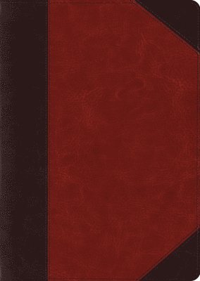 bokomslag ESV Study Bible, Large Print (TruTone, Brown/Cordovan, Portfolio Design)