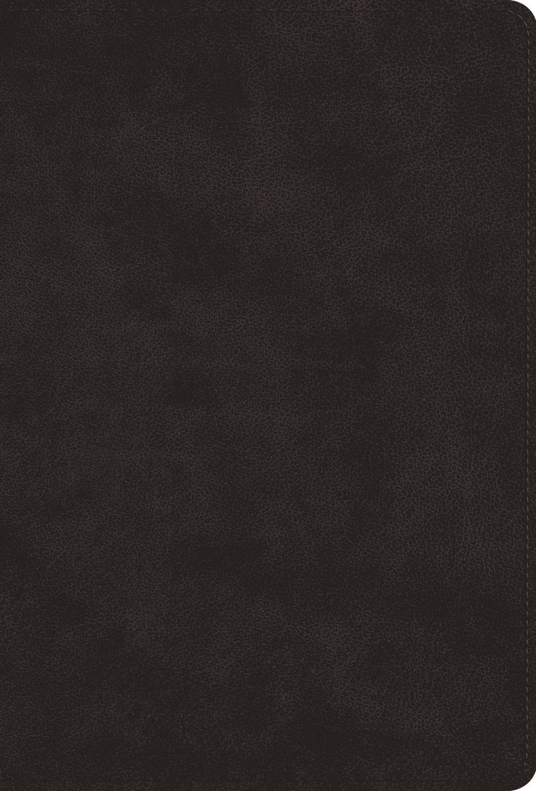 Esv Bibles - Greek New Testament, Produced at Tyndale House, Cambridge (TruTone, Black), Inbunden