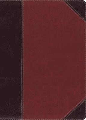 bokomslag ESV MacArthur Study Bible