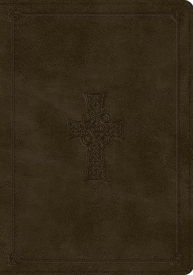 bokomslag ESV Study Bible