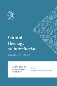 bokomslag Faithful Theology