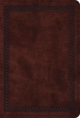 ESV Value Large Print Compact Bible 1