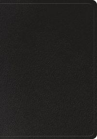 bokomslag ESV Large Print Wide Margin Bible